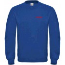 color:royal